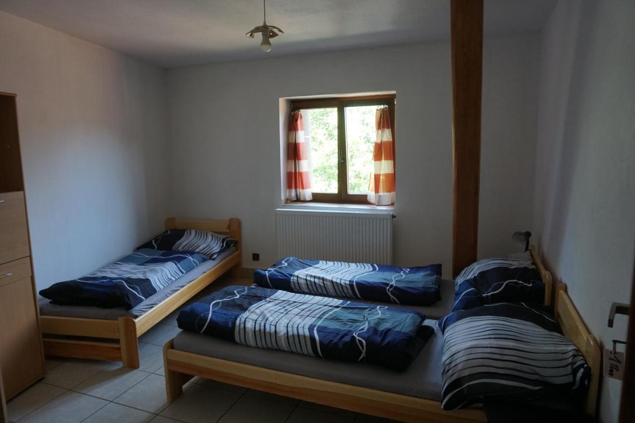 Mlyn-Osvracin Apartment Bagian luar foto