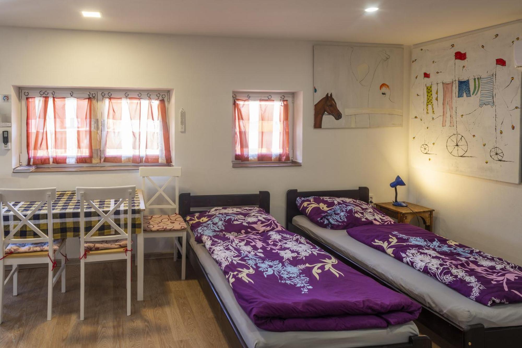 Mlyn-Osvracin Apartment Bagian luar foto
