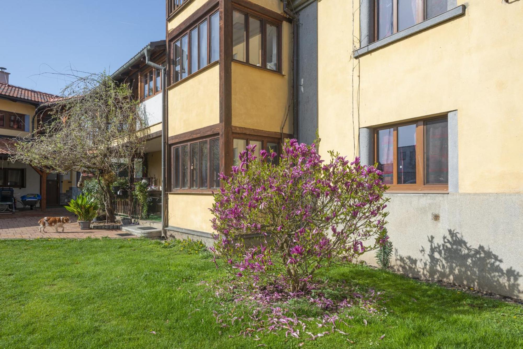 Mlyn-Osvracin Apartment Bagian luar foto